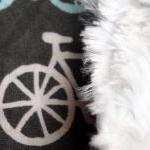 Baby bib Chenille Bib Bicyc..