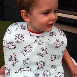 baby bib puppy Boys Toddler flannel terry cloth snap