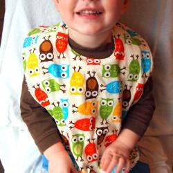 Baby bib toddler owl Corderoy terry cloth snap bright anne kelle